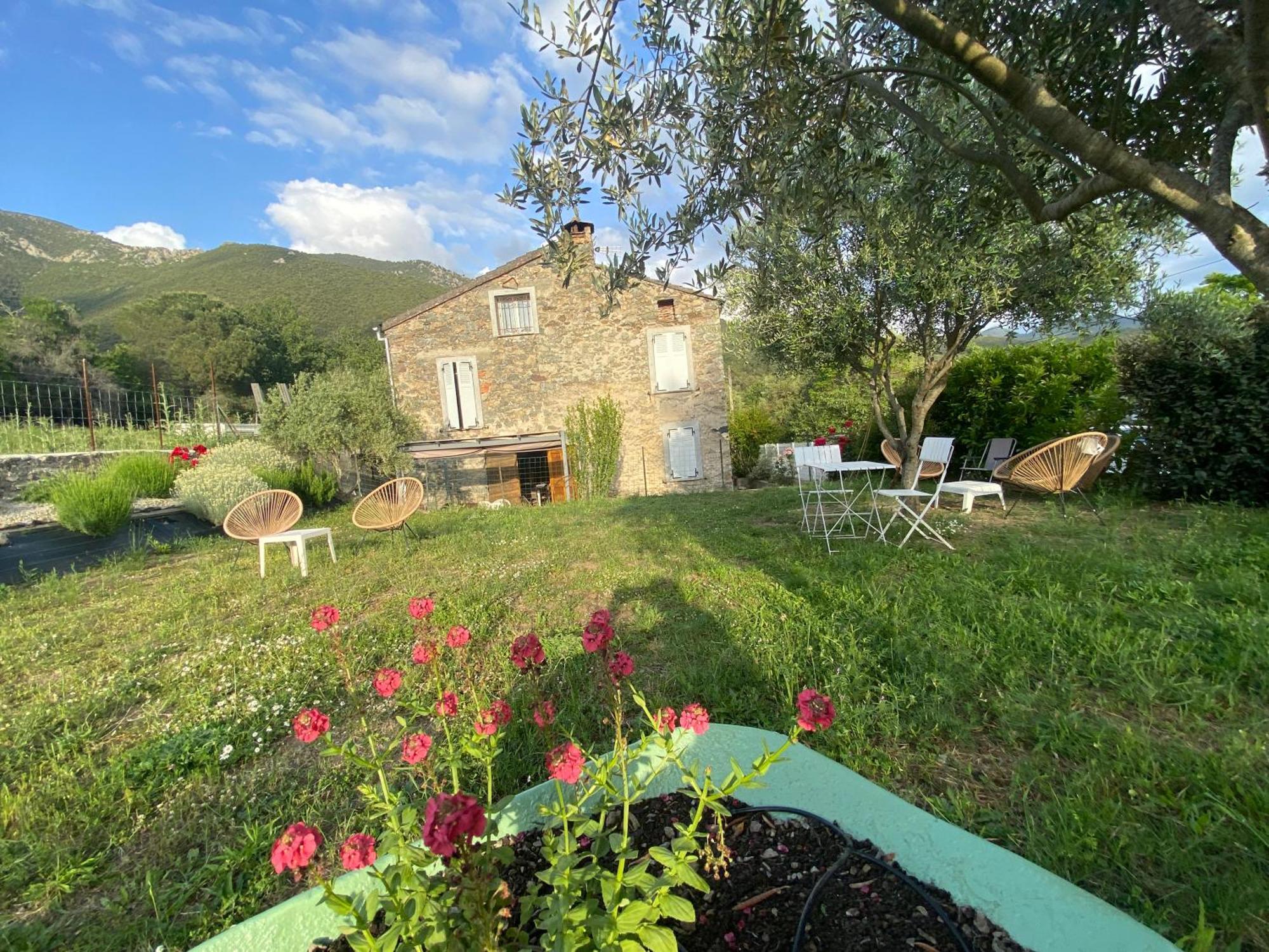 Villa Casa Orani Ponte Leccia Exterior foto